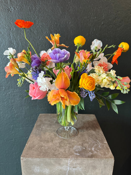 Radiant Collection